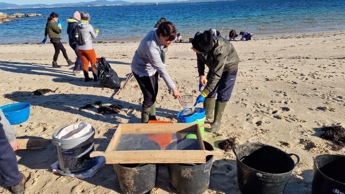 Voluntarios limpian las playas gallegas de bolas de plástico.