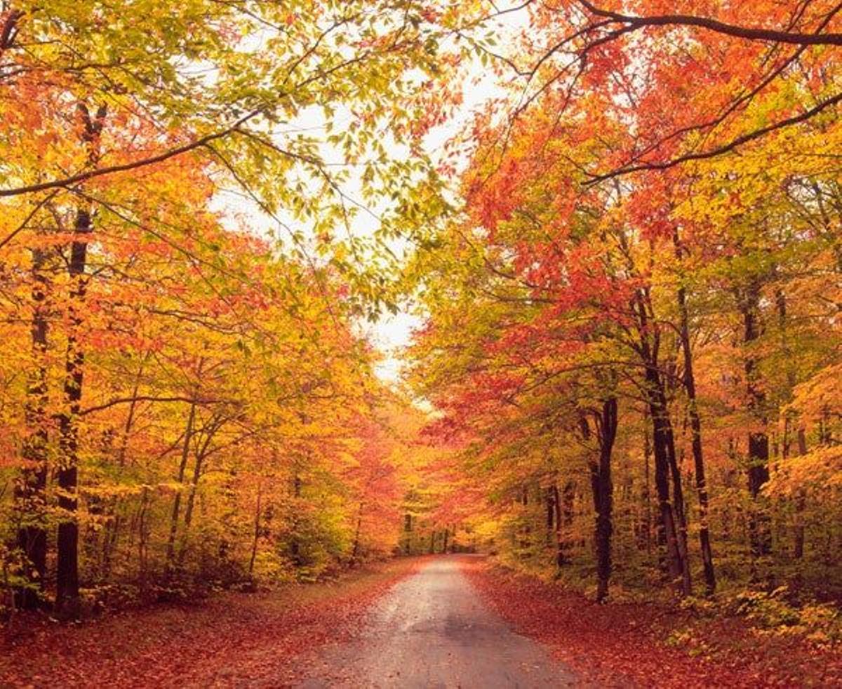 Vermont, Estados Unidos.