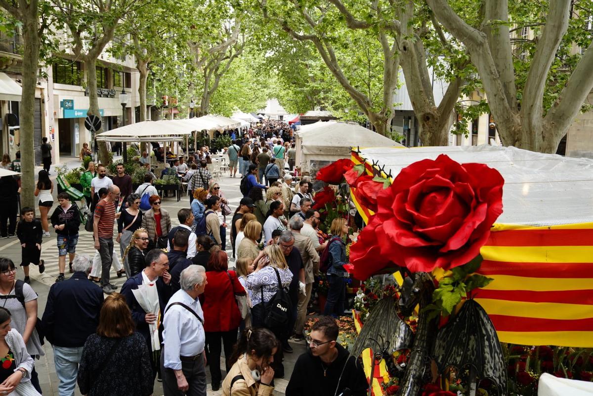 Les millor imatges de la Diada de Sant Jordi 2026 a Manresa