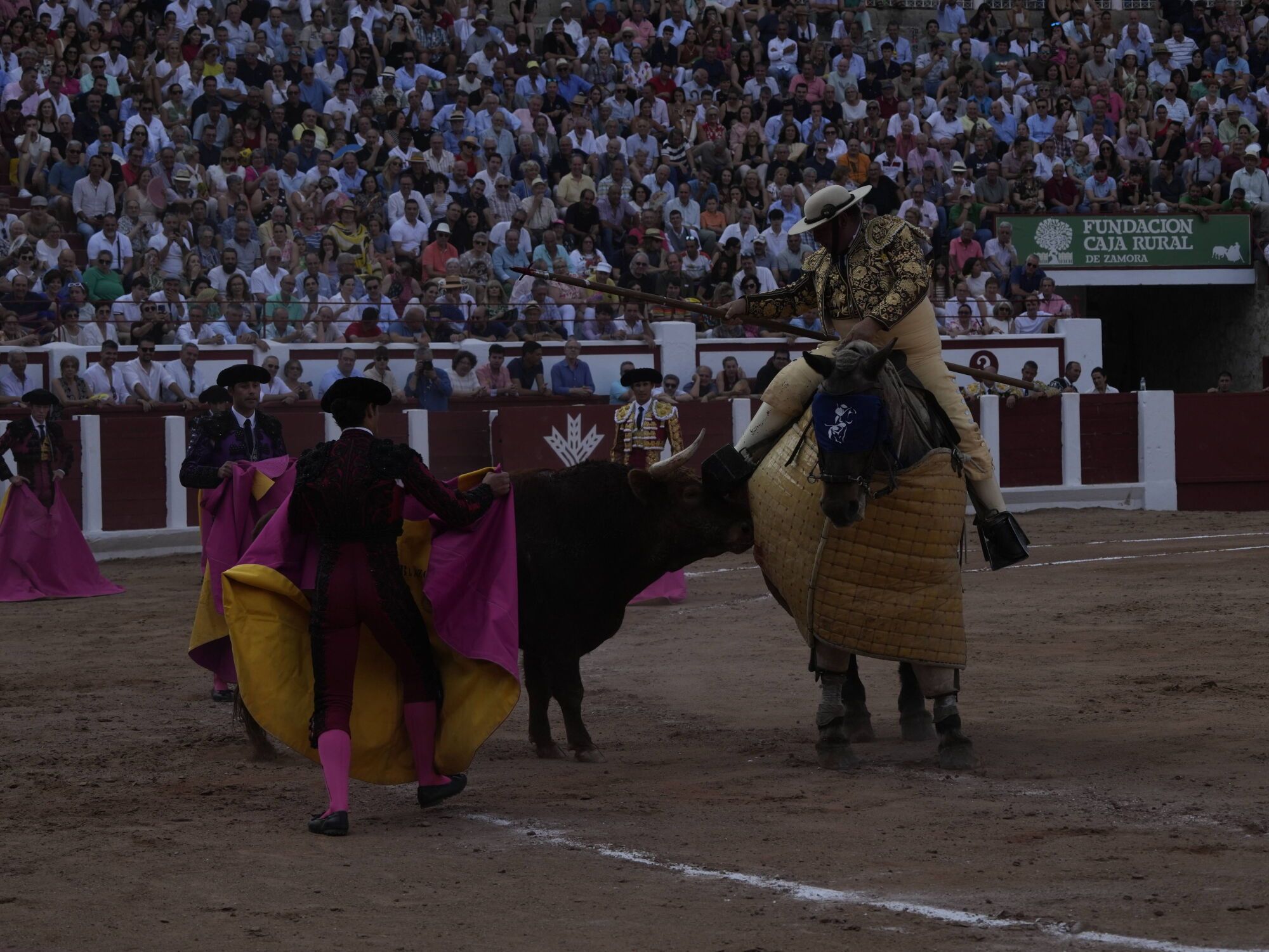 Las mejores imágenes de la feria taurina de San Pedro en Zamora.