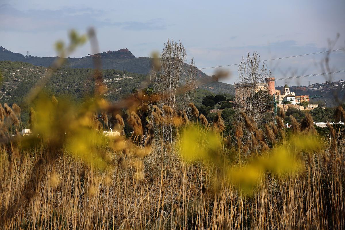 Reportaje de la lucha de los ecologistas de Castelldefels, para proteger el area natural de la laguna o 'estany de l'Olla del Rei'