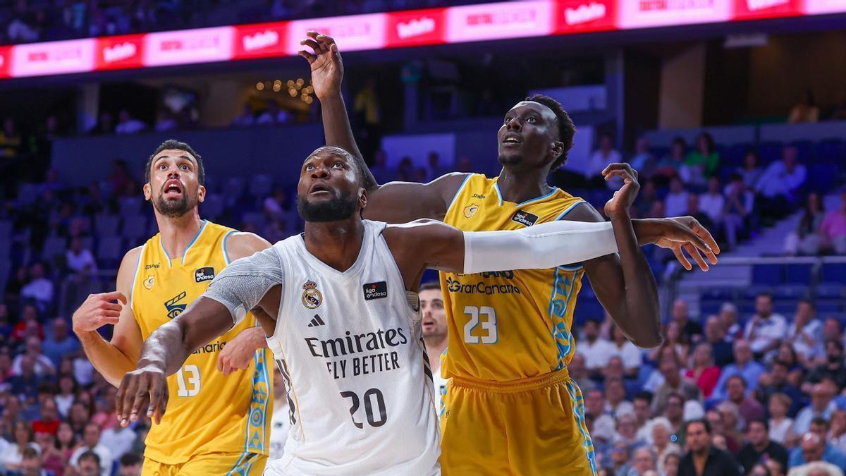 Pelos y Kuath defienden a Bruno Fernando