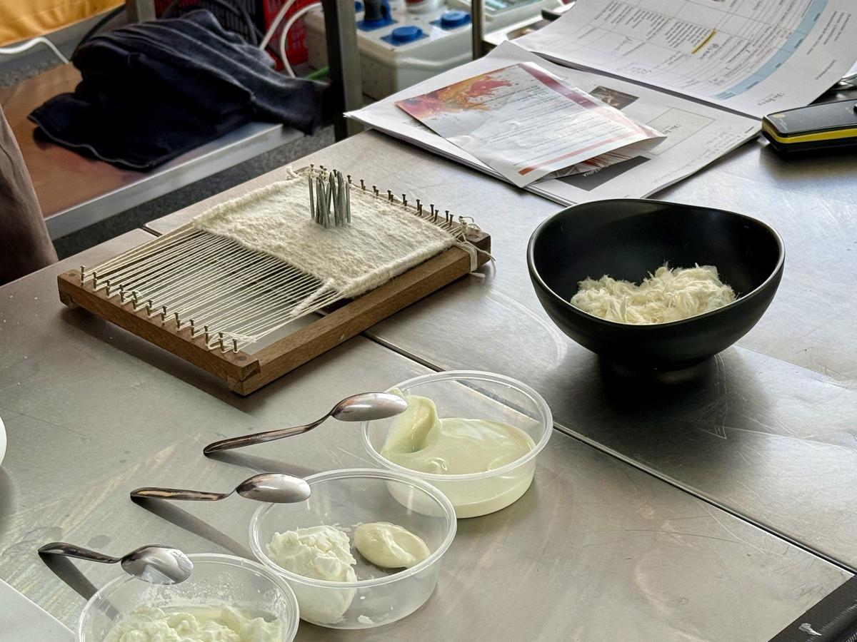 Un plat inspirat amb la transhumància on el comensal podrà menjar la llana d'ovella que el xef Oriol Castro, del reconegut restaurant Disfrutar, guardonat amb tres estrelles Michelin, ha presentat a GastroPirineu