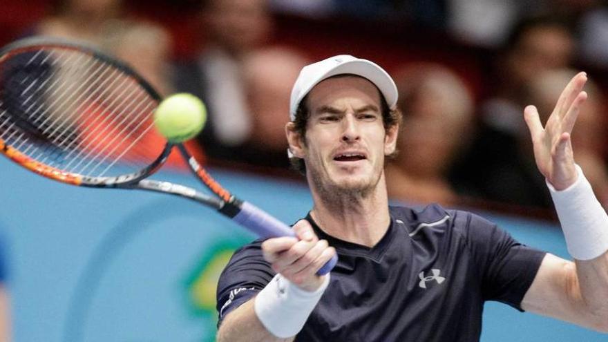 Murray devuelve una bola durante la final de Viena ante Tsonga.