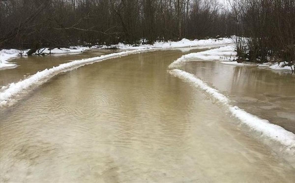 previa rally de suecia 2016