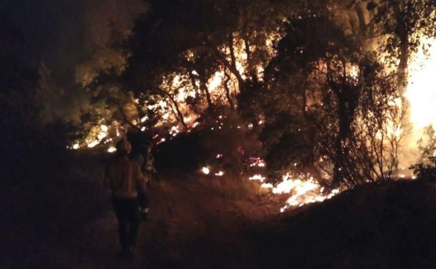 L'incendi al Rosselló avança cap a l'Empordà