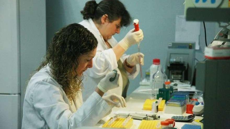 Dos trabajadoras de la Fundación Xenómica, en las instalaciones de Santiago.