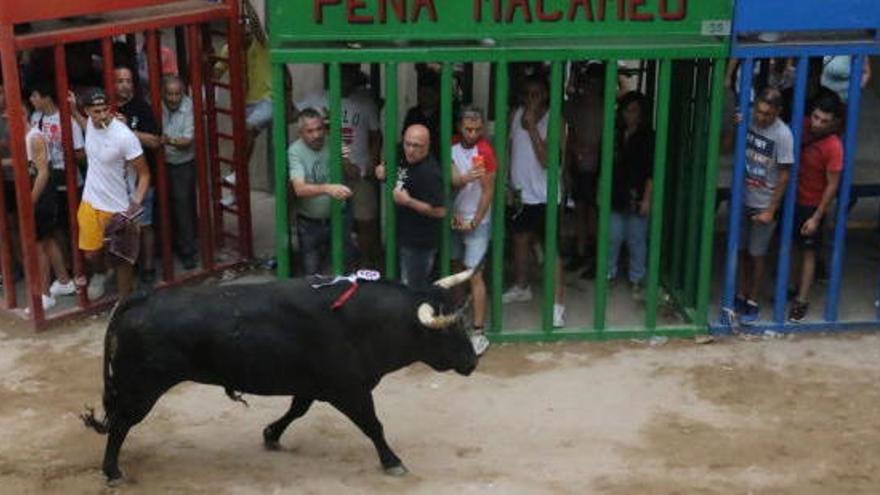 La brutal cogida de l&#039;Alcora hace de 2019 el año con más muertos desde 2015