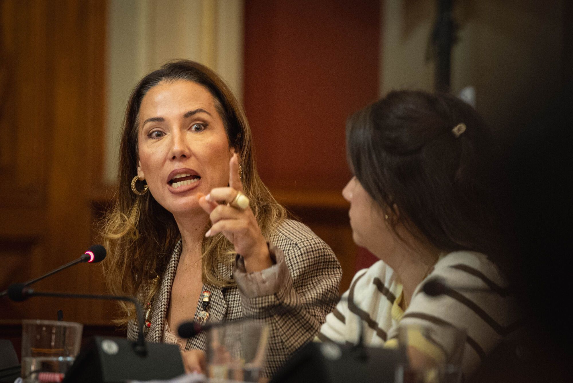 Pleno del Ayuntamiento de Santa Cruz