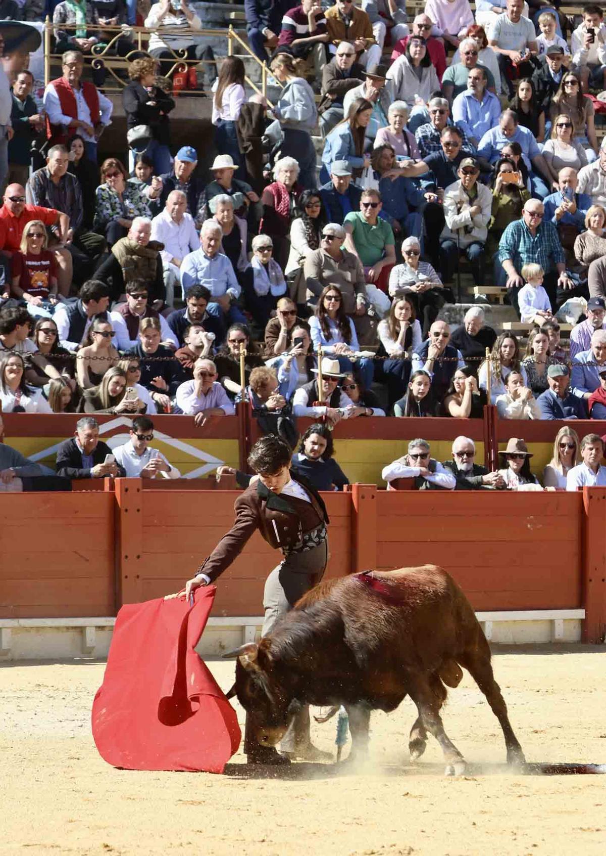 Éxito artístico en el V certamen José María Manzanares de Alicante