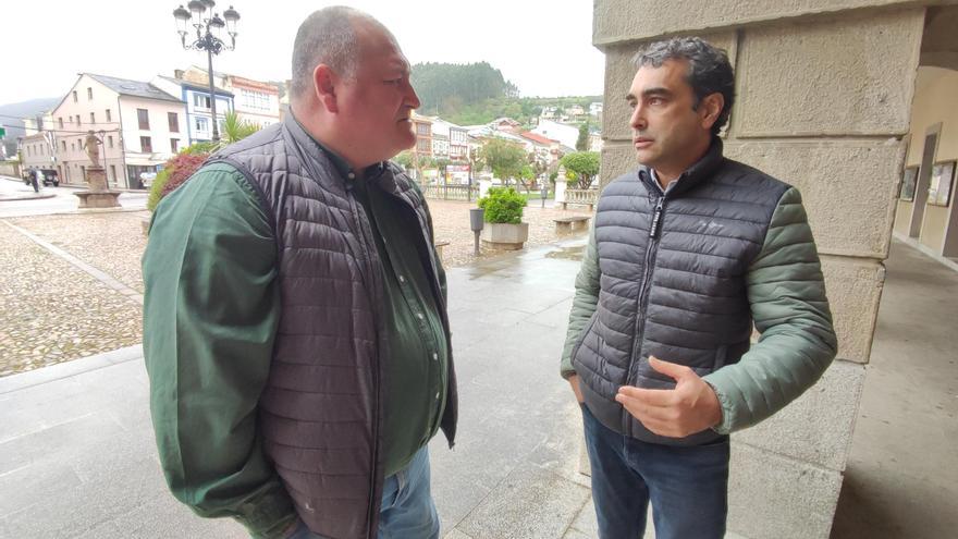 La lucha contra la peste del pino: Estas son las seis variedades de coníferas que Medio Rural autoriza para reforestar las zonas dañadas por la banda marrón