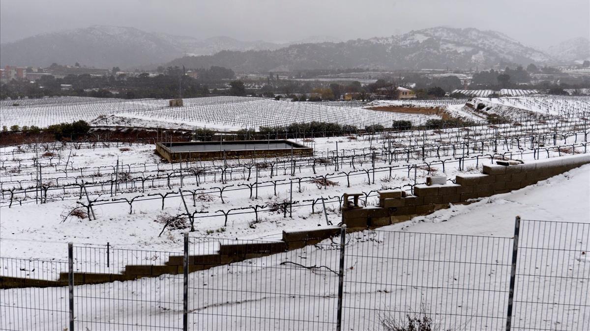 La neu cobreix els camps de Falset, al Priorat.