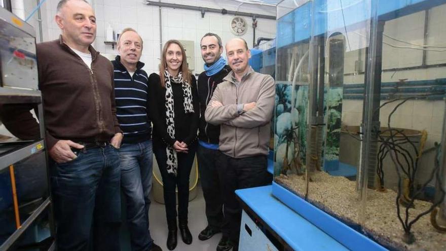 De izq. a dcha., Manuel E. Garci, Miquel Planas, Patricia Ruiz, Alexandro Chamorro y José Pintado, en el laboratorio para la cría en cautividad de caballitos de mar, en la sede del IIM en Bouzas. // Adrián Irago