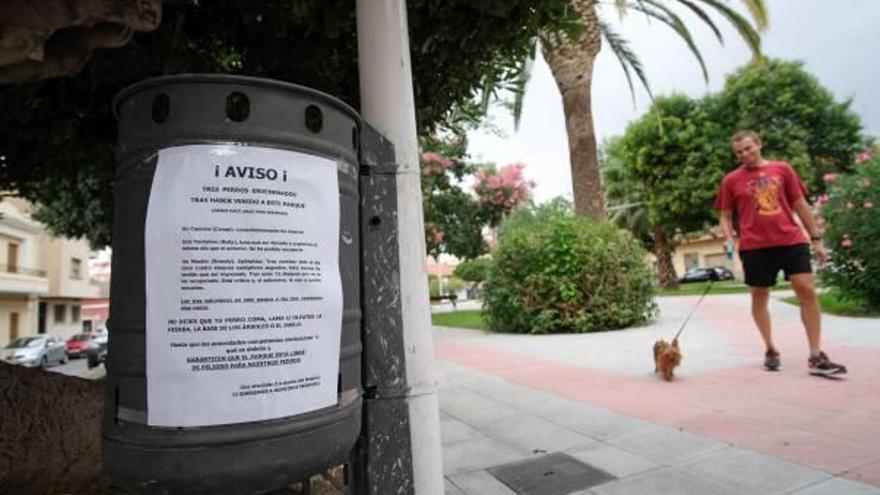 Denuncian el envenenamiento de tres perros en una plaza pública de Petrer