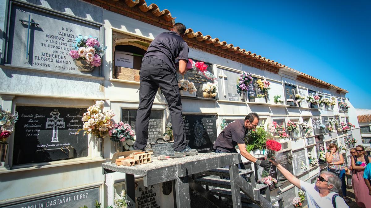 Los restos de Salvador Del Amo ya están en el cementerio Viejo de Badajoz.