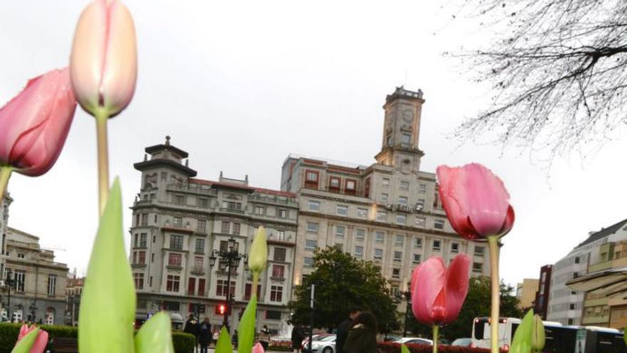 Si eres alérgico, esto te interesa: esta es la previsión de la incidencia del polen en Asturias para esta primavera