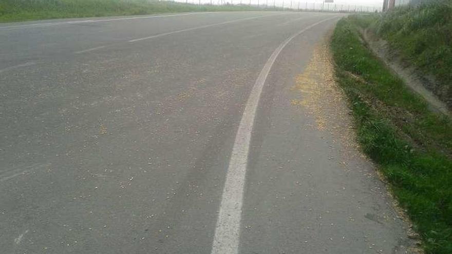 Carretera del polígono con maíz esparcido por el asfalto.
