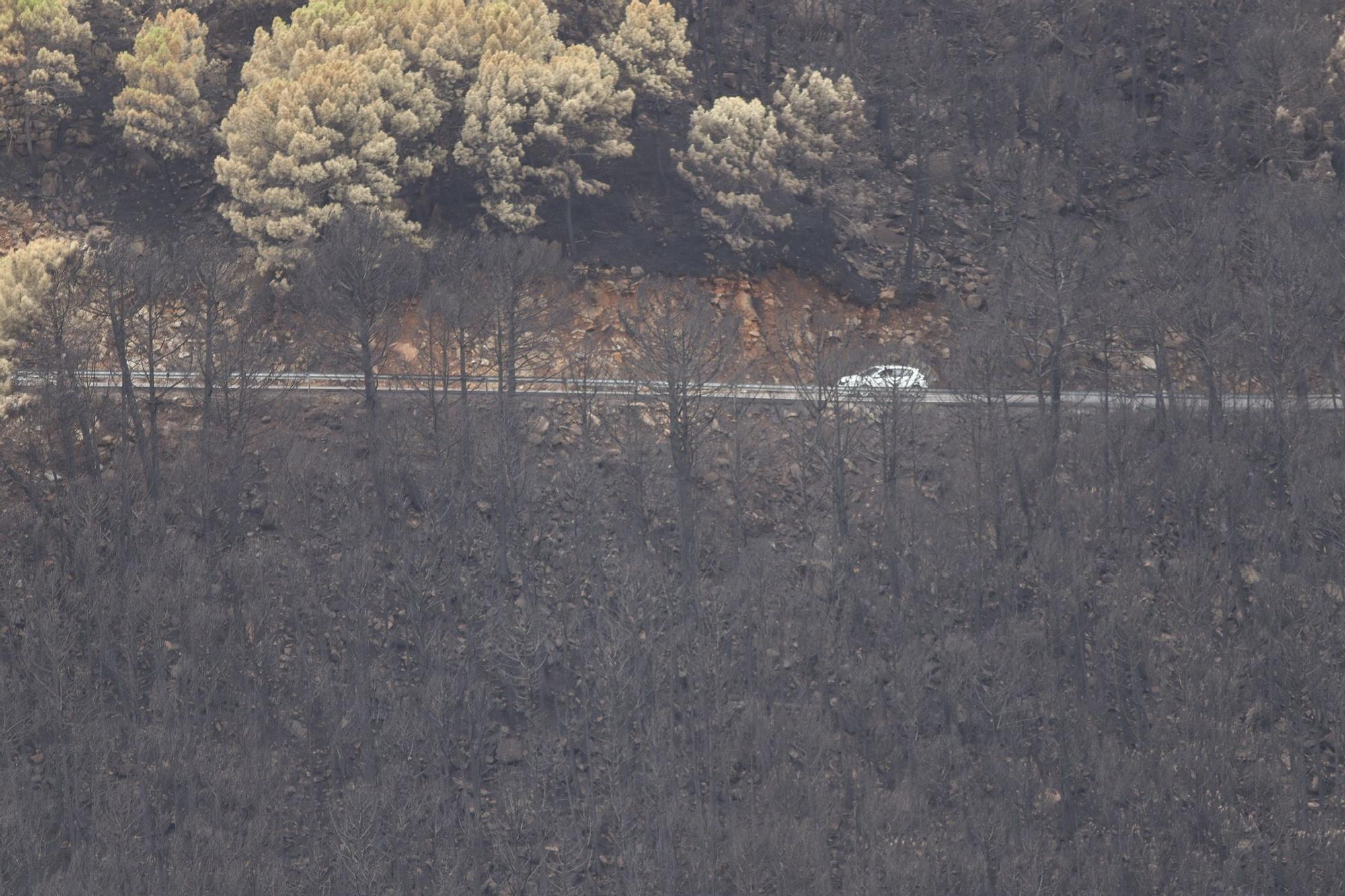 El Paraje de las Peñas Blancas en Estepona arrasado por el fuego