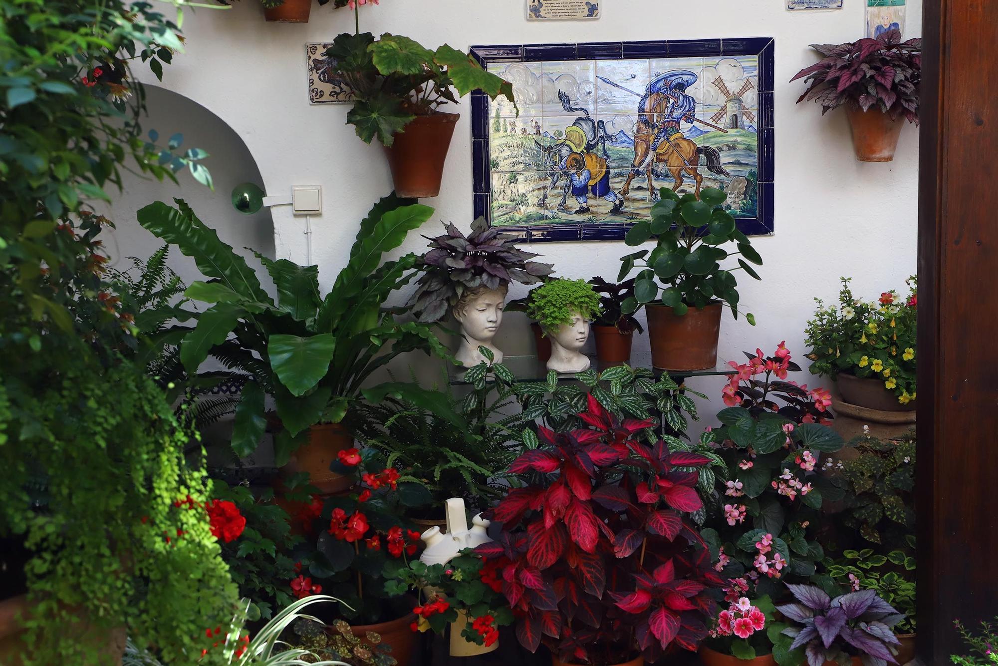 Largas colas en el primer sábado de patios