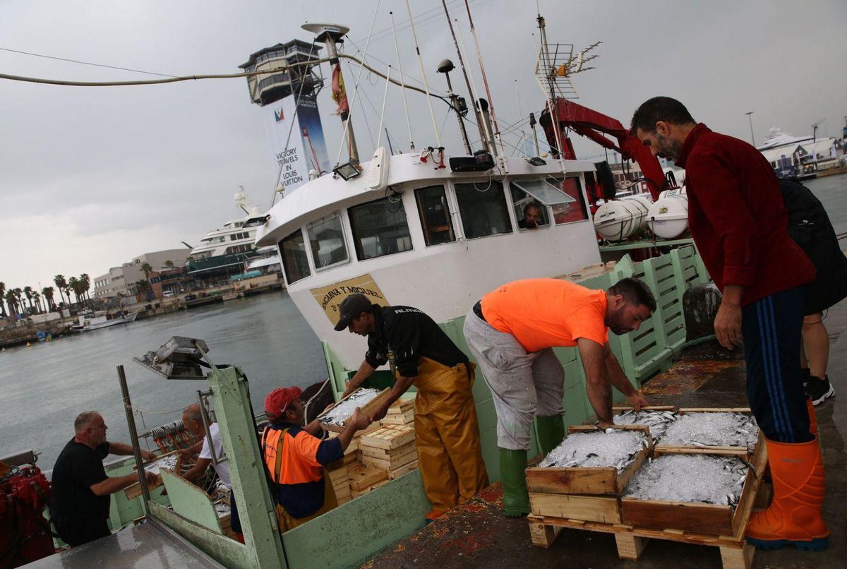 La retallada dels fons de la PAC castiga el camp i la pesca