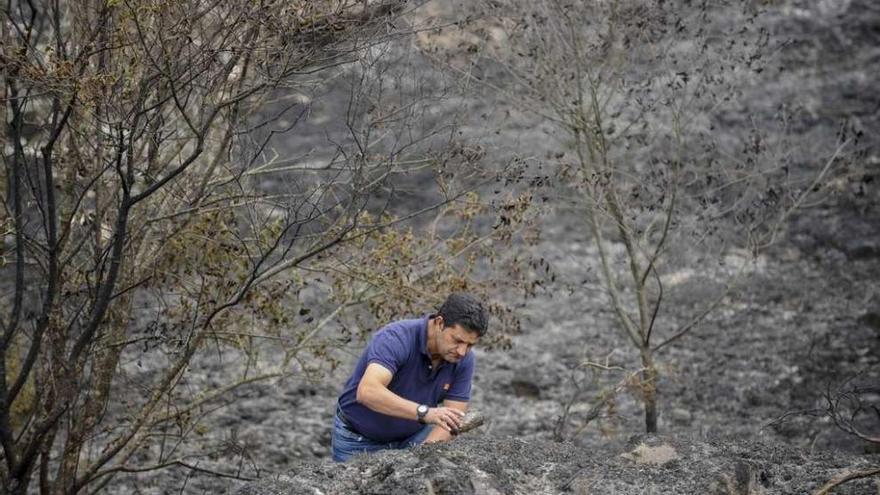 Un agente forestal busca pruebas en el incendio de Luíntra, en el que se detectaron 4 focos. // Brais Lorenzo