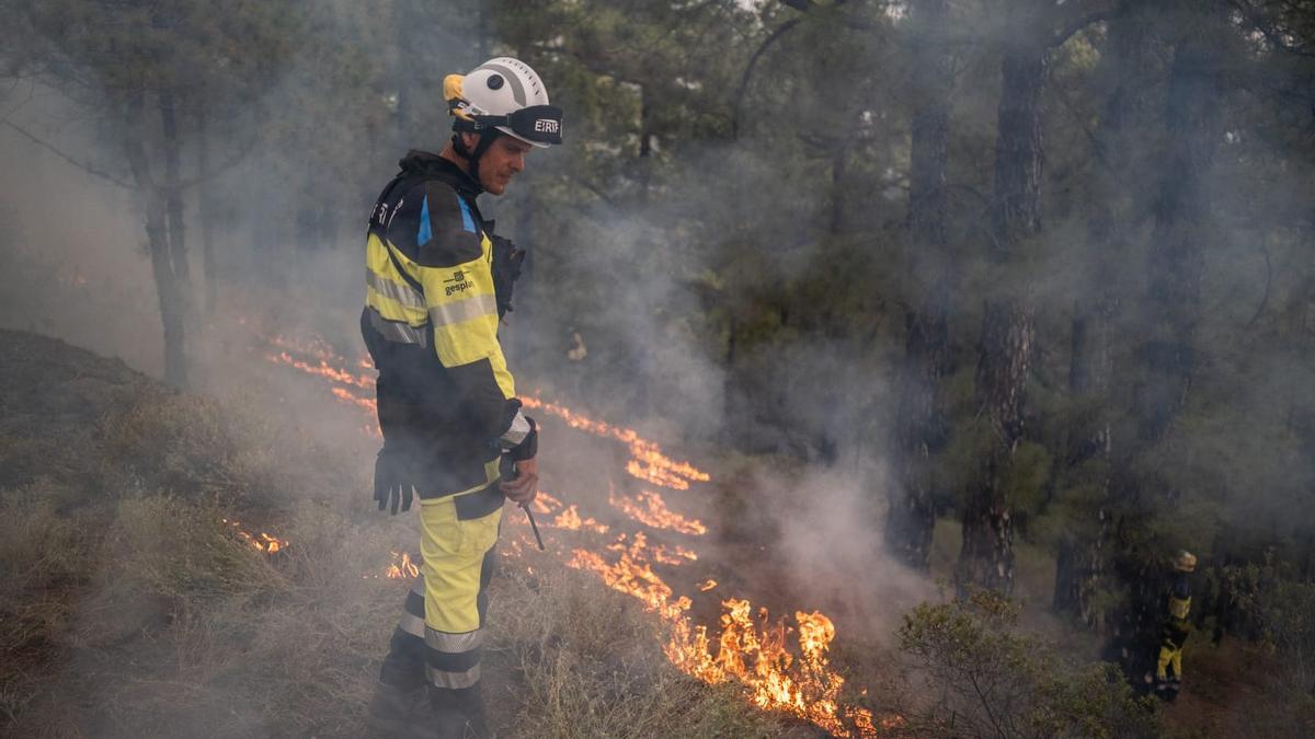 Operativos desplegados por los EIRIF  en el incendio de Tenerife