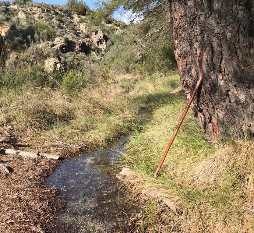 Los riachuelos aparecen en lugares por el agua no brotaba desde hacía décadas.