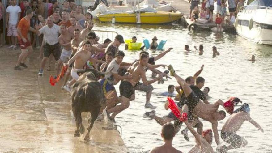 la fiesta taurina ofrece una gran variedad de espectáculos.«Bous a la mar» en Dénia, declarados fiesta de interés turístico nacional. f montse molinaLos concursos de ganaderías son una modalidad muy apreciada por los aficionados. f vizaEl «bou en corda» de Ontinyent es uno de los más importantes de la C. Valenciana junto al celebrado en Chiva. f viza En Pedreguer, los quintos paran a las vacas con un cañizo. f viza