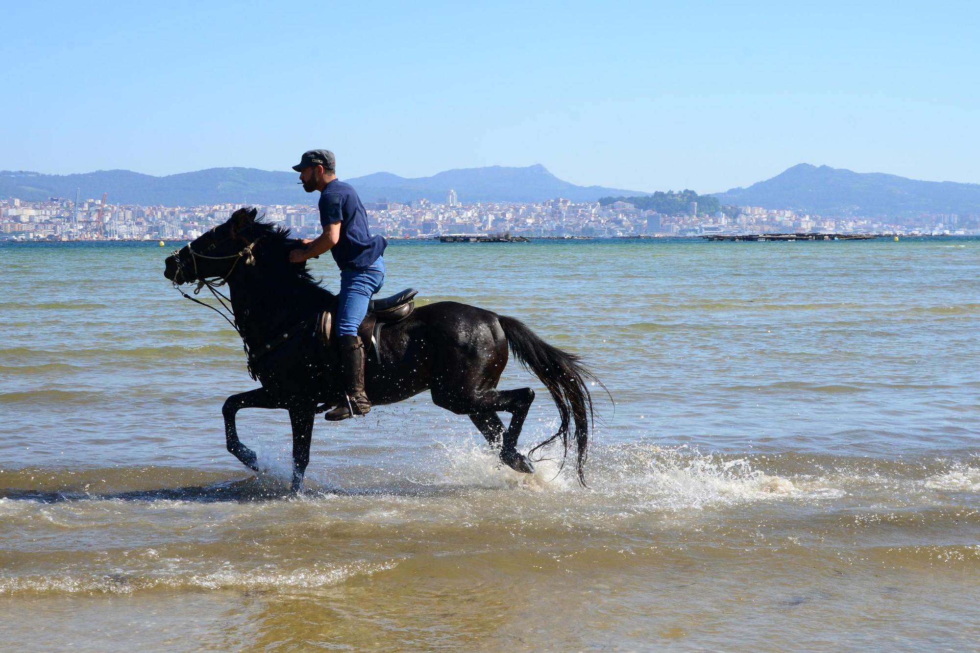 Una espectacular jornada a caballo por Moaña (I)