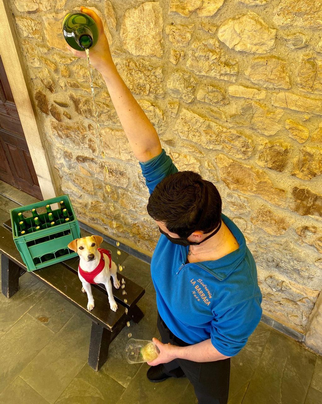 Viendo escanciar sidra en la Sidrería La Barraca de Nava. 