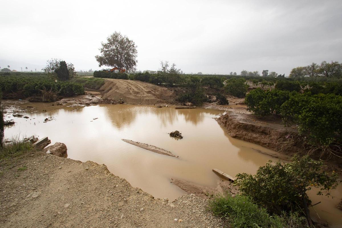 Estado en que quedó la mota de protección de Riola con la crecida del Xúquer el día de la dana.