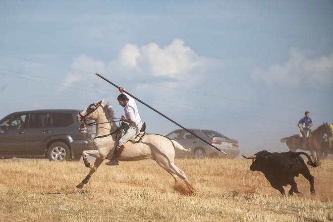 Espante campero en Pereruela 2022