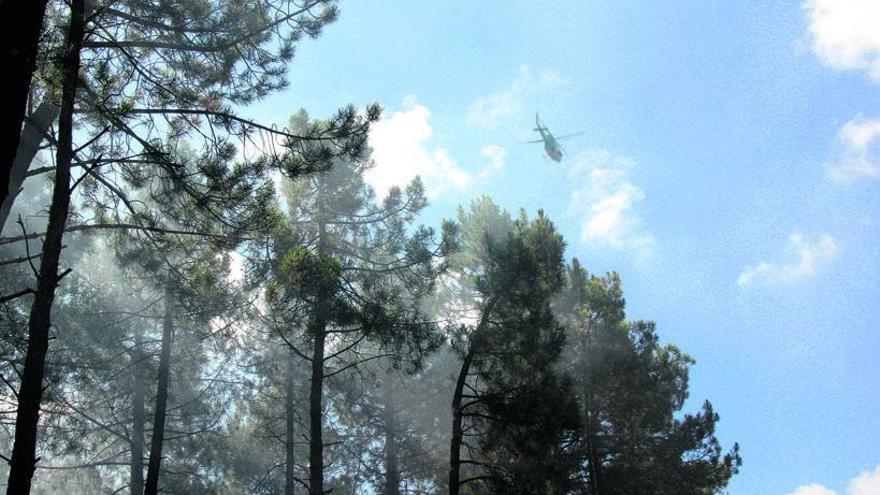 Un incendio en la provincia de Zamora