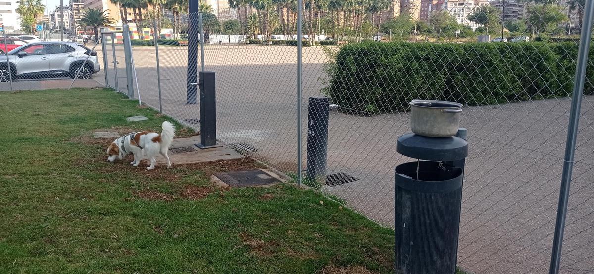 Fuente y cuenco para poner agua para los perros.