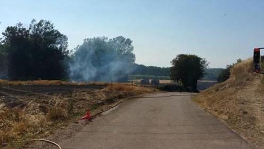 Una imatge d&#039;una de les zones cremades al municipi de la Pera.