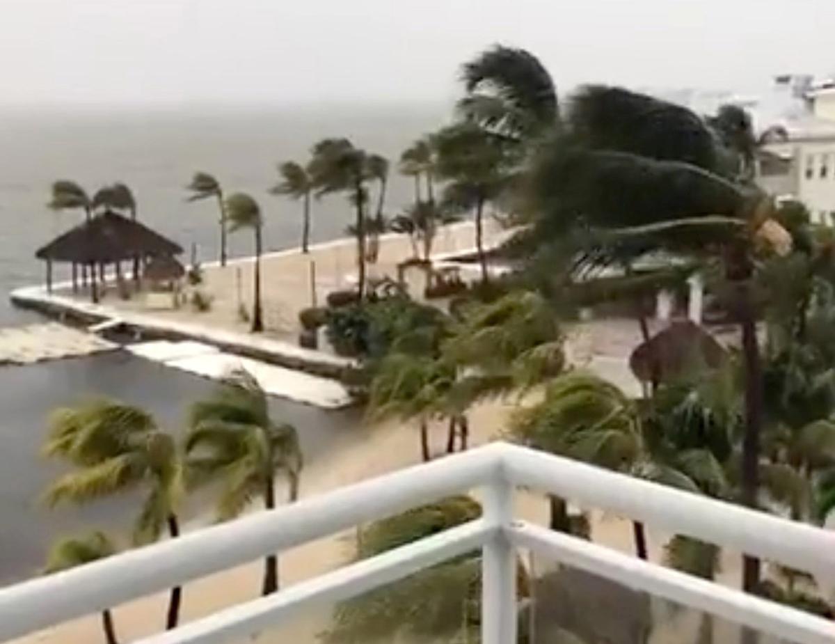 Palmeras balanceándose en Cayo Largo, Florida, como consecuencia del fuerte viento originado por el huracán ’Irma’, en una imagen tomada del Facebook de Laura Kushner Gibson.