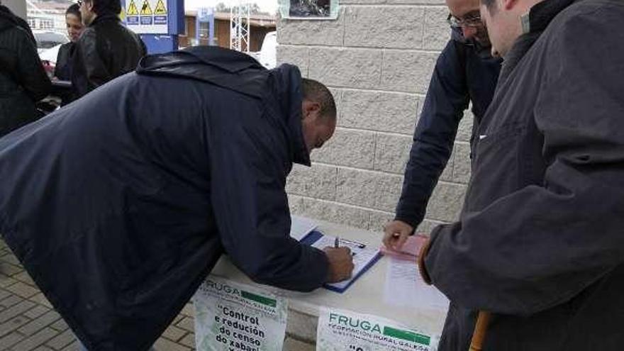 Recogida de firmas en la Central Agropecuaria.  // Bernabé/Gutier