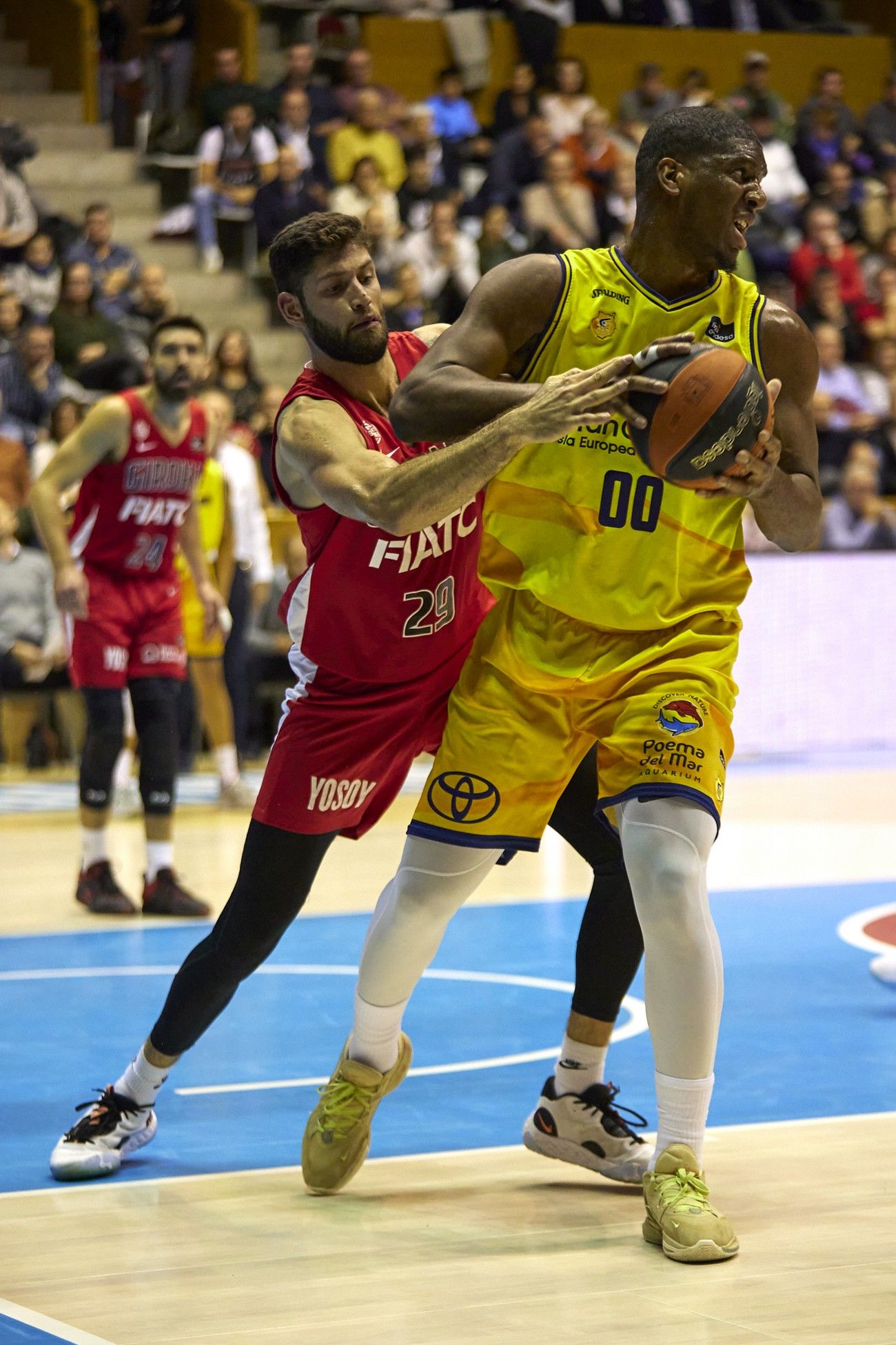 Liga Endesa: Bàsquet Girona - CB Gran Canaria