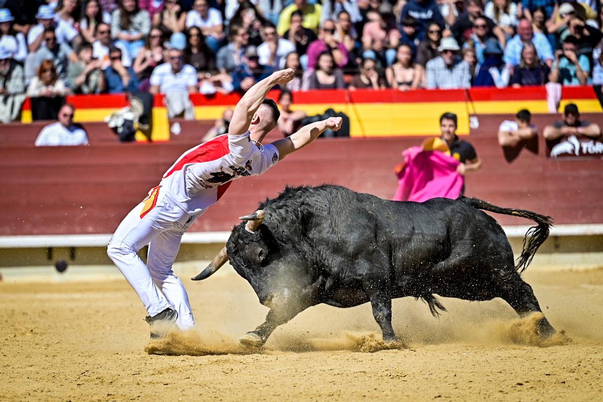 Concurso recortadores