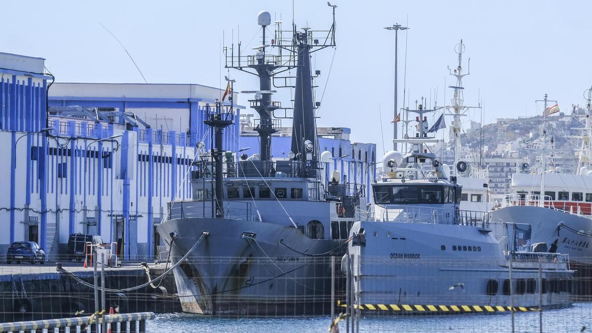 Los buques 'Ocean Warrior' y 'Age of Union'