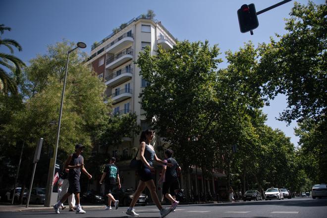 El ático de Ayuso llega al Tribunal de Cuentas: un abogado denuncia un daño "cierto, evaluable" e "irreversible" al patrimonio público