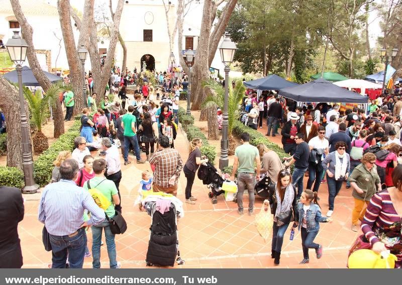 GALERIA FOTOS -- Masiva Festa per la Llengua