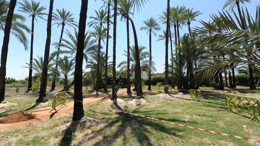 Enriquecen el palmeral de Zaraiche con 30 árboles frutales