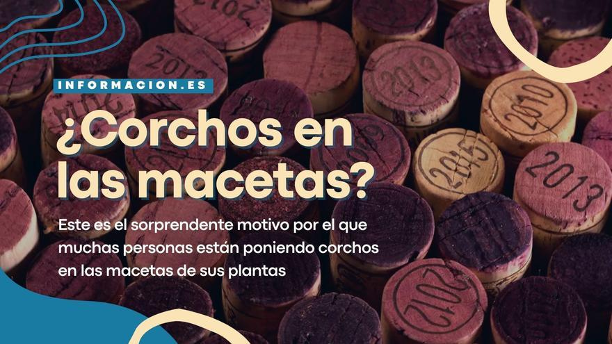 El sorprendente motivo por el que debes empezar a poner corchos en tus macetas ahora mismo