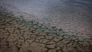 El 2023, el segundo año más cálido y de los más secos en Catalunya