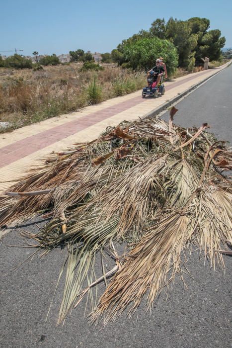 Deficiencias en Orihuela Costa