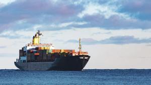 El lliure comerç agrícola