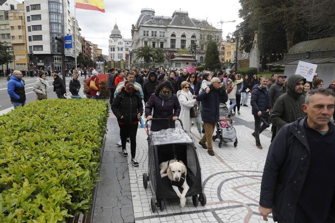 Manifestación de veterinarios en Oviedo contra la nueva normativa que controla su trabajo