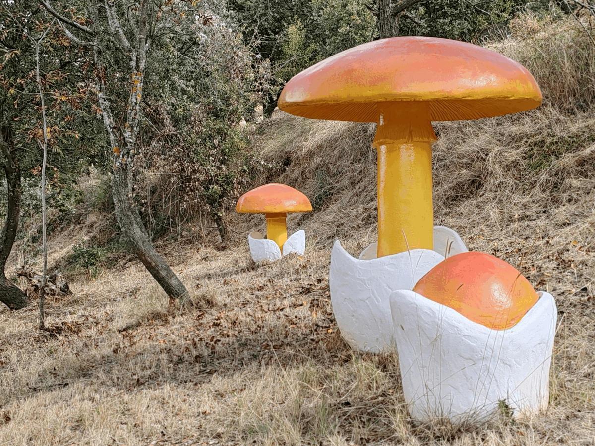 Bosque Encantado de San Martín de la Virgen del Moncayo