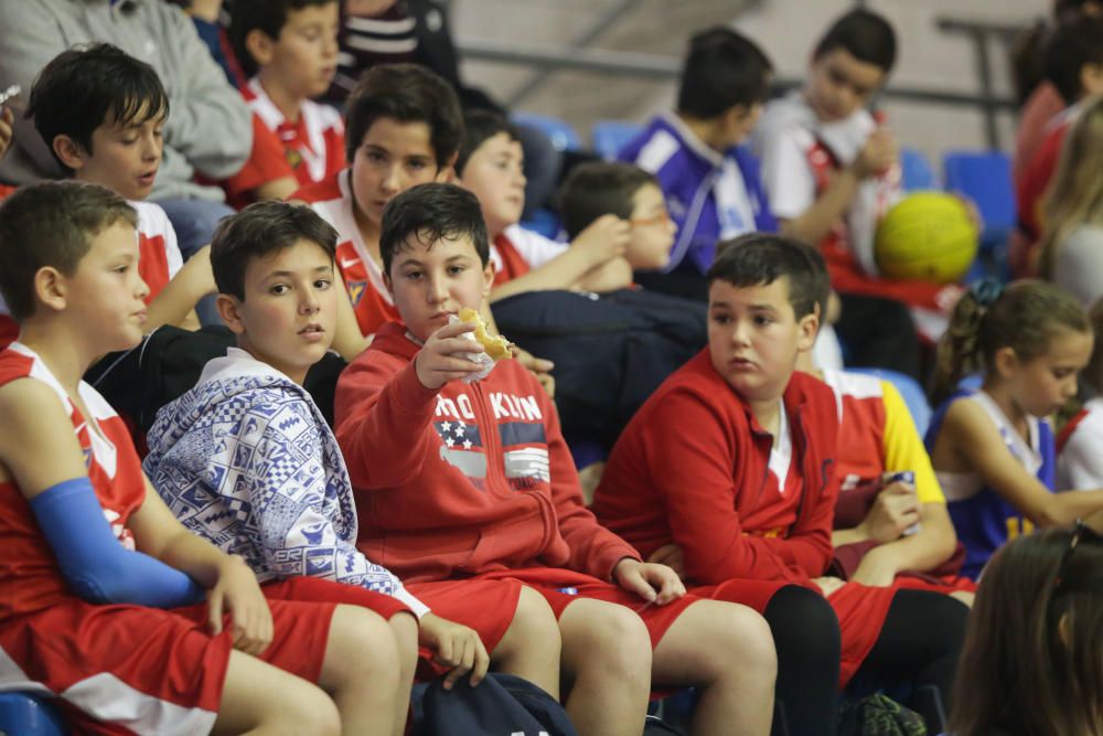 Entrenamiento del UCAM CB abierto al público